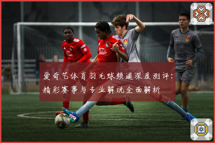 爱奇艺体育羽毛球频道深度测评：精彩赛事与专业解说全面解析